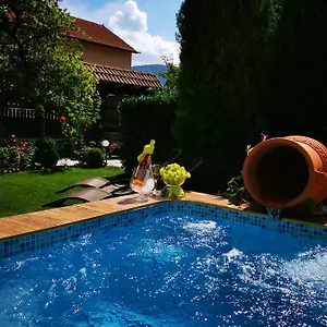 3* בית הארחה Zigen House
